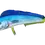 Thumbnail: Full mount torso showing dorsal and bottom fins with scale texture