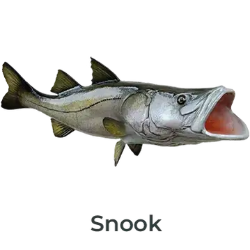 Snook fiberglass mount with lifelike silver and green hues, painted by Greg Cassell.