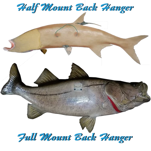 Order Largemouth Bass Fish Mount Replica | Custom Freshwater Order Largemouth Bass Fish Mount Replica | Custom Freshwater