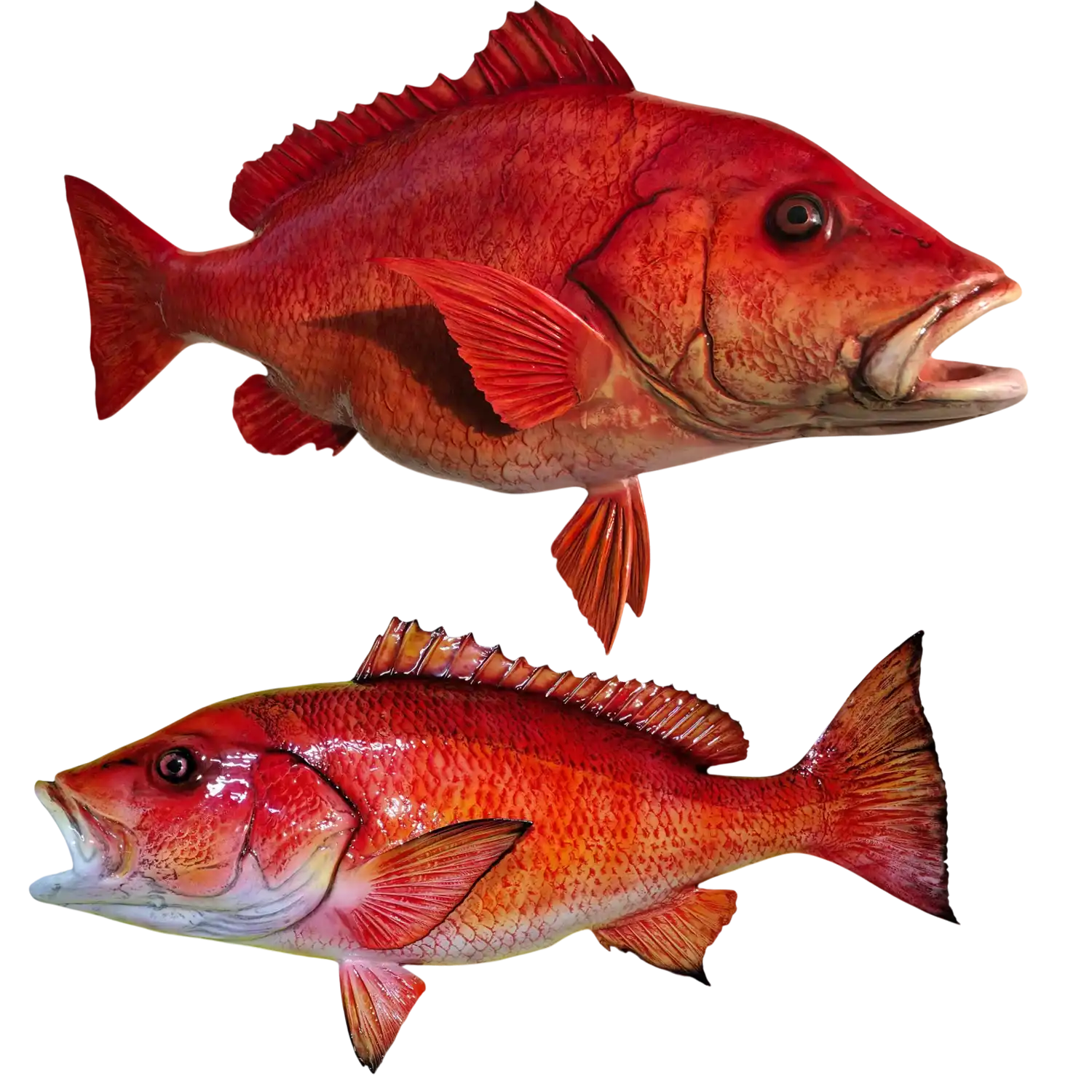 Red Snapper Fish Mount Replicas