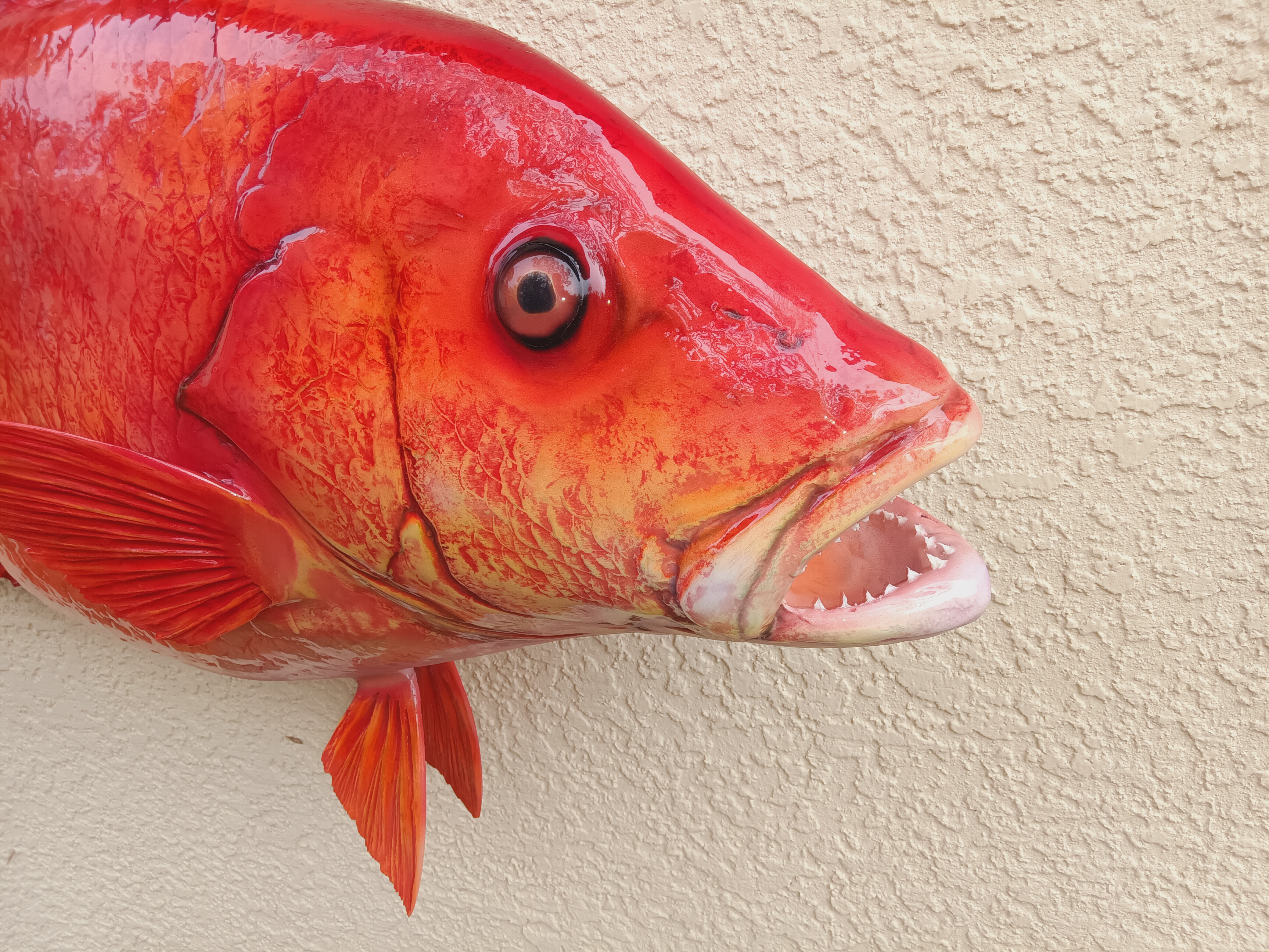 Buy Red Snapper Fish Mount Replicas | Custom Saltwater Mounts