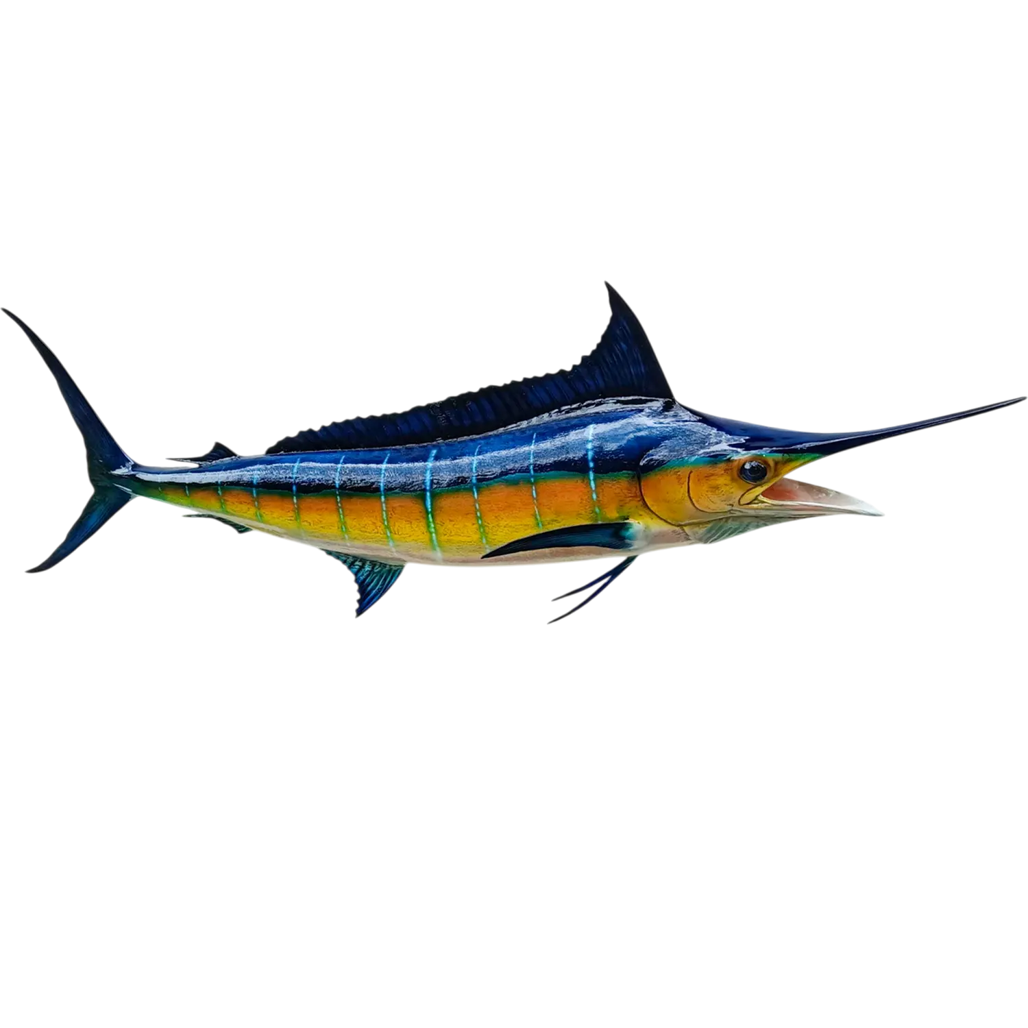 Blue Marlin Fish Mount Replica