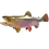 Thumbnail: Brook Trout full mount left-facing with face tilted outward