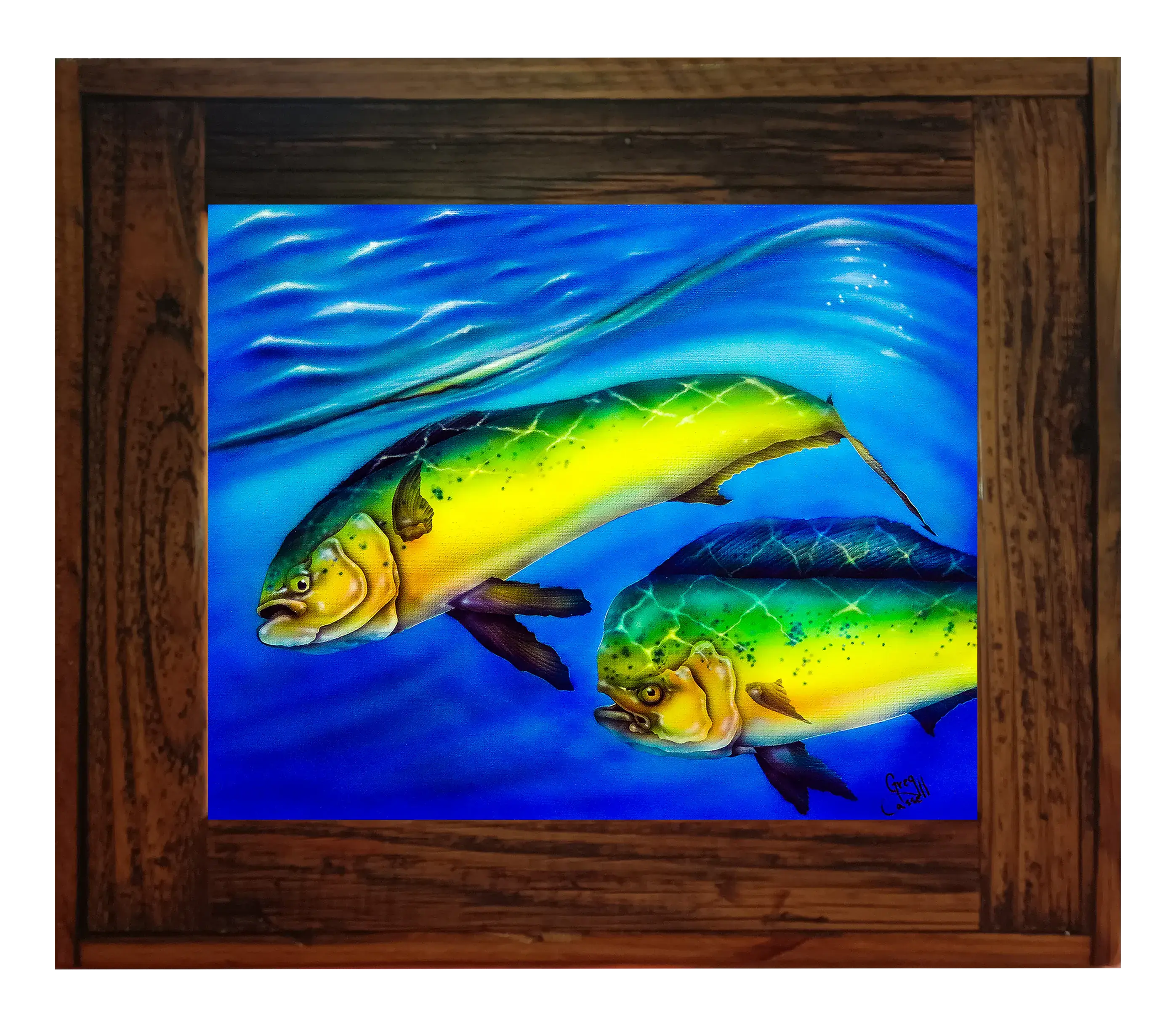 Mahi bull and cow giclee print resin inlay in a distressed frame by artist Greg Cassell at Florida Fish Mounts