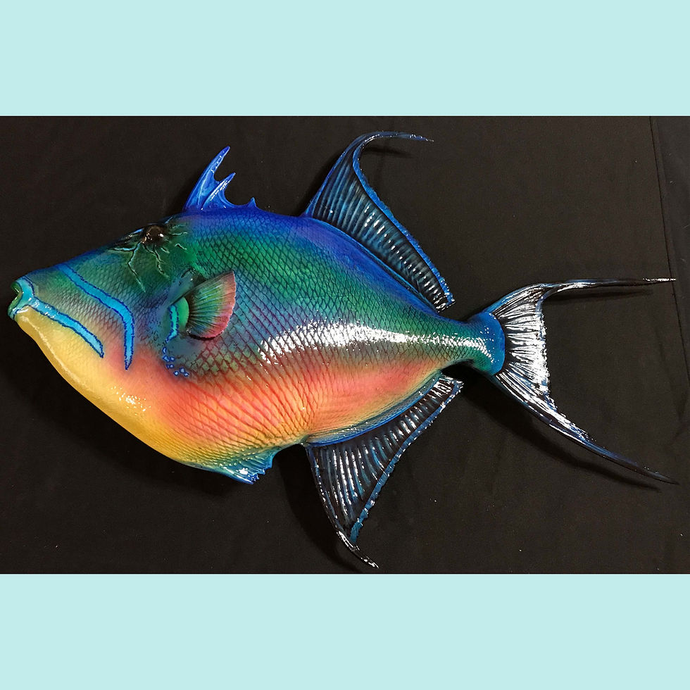 Thumbnail: Hand-painted Queen Triggerfish Fish Replica by Greg Cassell, specializing in saltwater fish mount replicas.