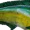 Thumbnail: Zoomed view of Mahi Cow replica’s torso showing scale and paint detail
