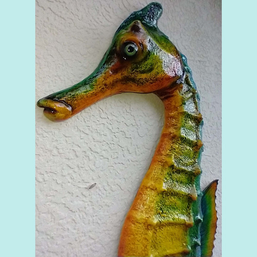 Decorative Seahorse Mounts | Hand-Painted by artist Greg Cassell