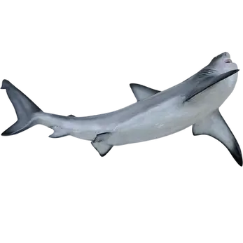 90 inch bull shark full mount fiberglass replica, open-jaw pose, painted by artist Greg Cassell at Florida Fish Mounts