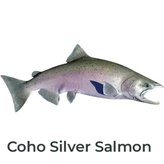 Right-facing profile of a custom fiberglass Coho Silver Salmon replica with a hand-patterned chrome paint finish.