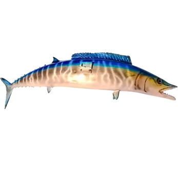 37-inch wahoo fiberglass full mount replica showing hand-painted glass eye, by artist Greg Cassell at Florida Fish Mounts