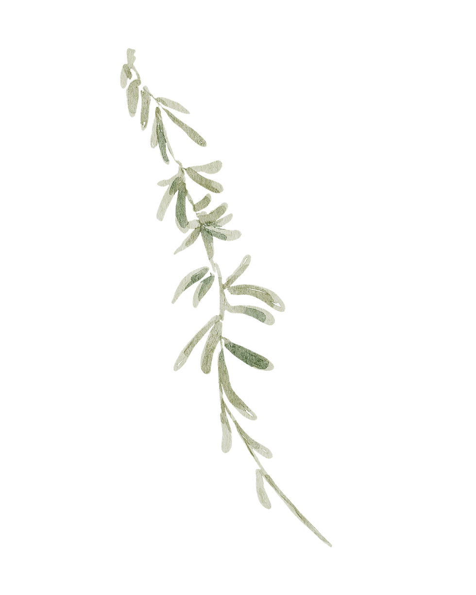 MydorI's Greenery (1).png