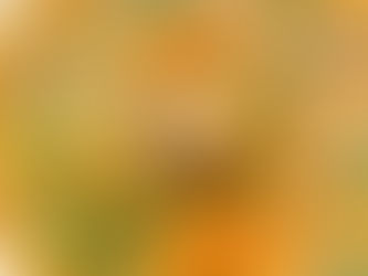 Creamy Coconut & Turmeric Wild Rice Soup