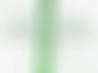 Cover Reveal: Prince Warden and the Dragon Stones!