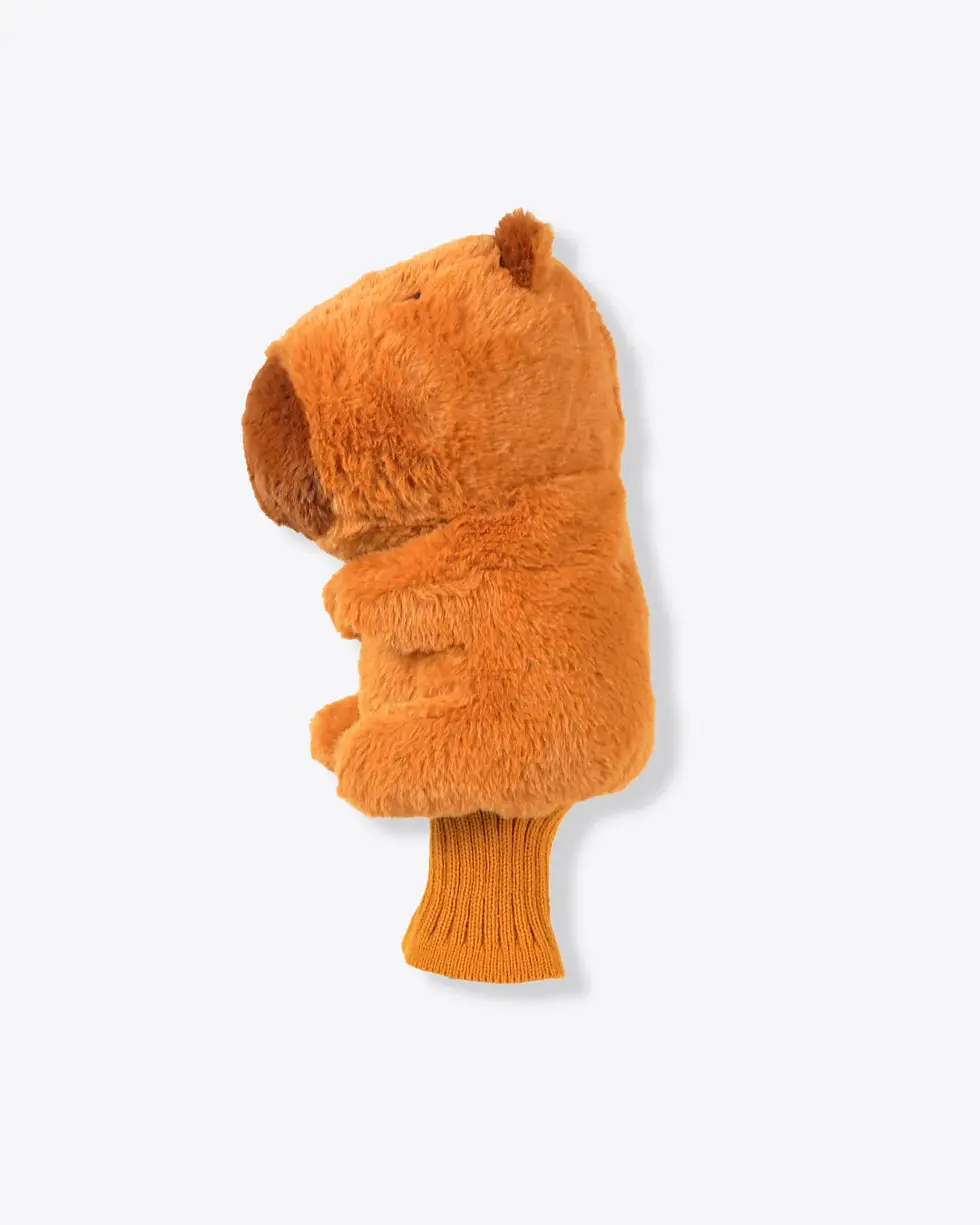 Thumbnail: Capybara