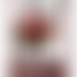 薔薇に恋して ― 五味和子 Clay Craft 作品展 ―