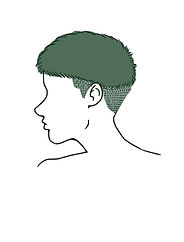 coupe courte simple
