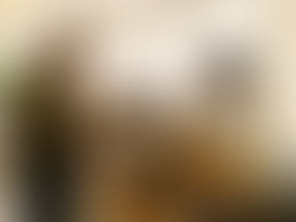 Absolute fullness in Carnota at the XIII Víndemo Ver after an intense program of activities