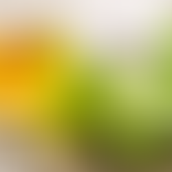 Nourish Your Growth: A Magickal Tea Blend for Flourishing Intentions