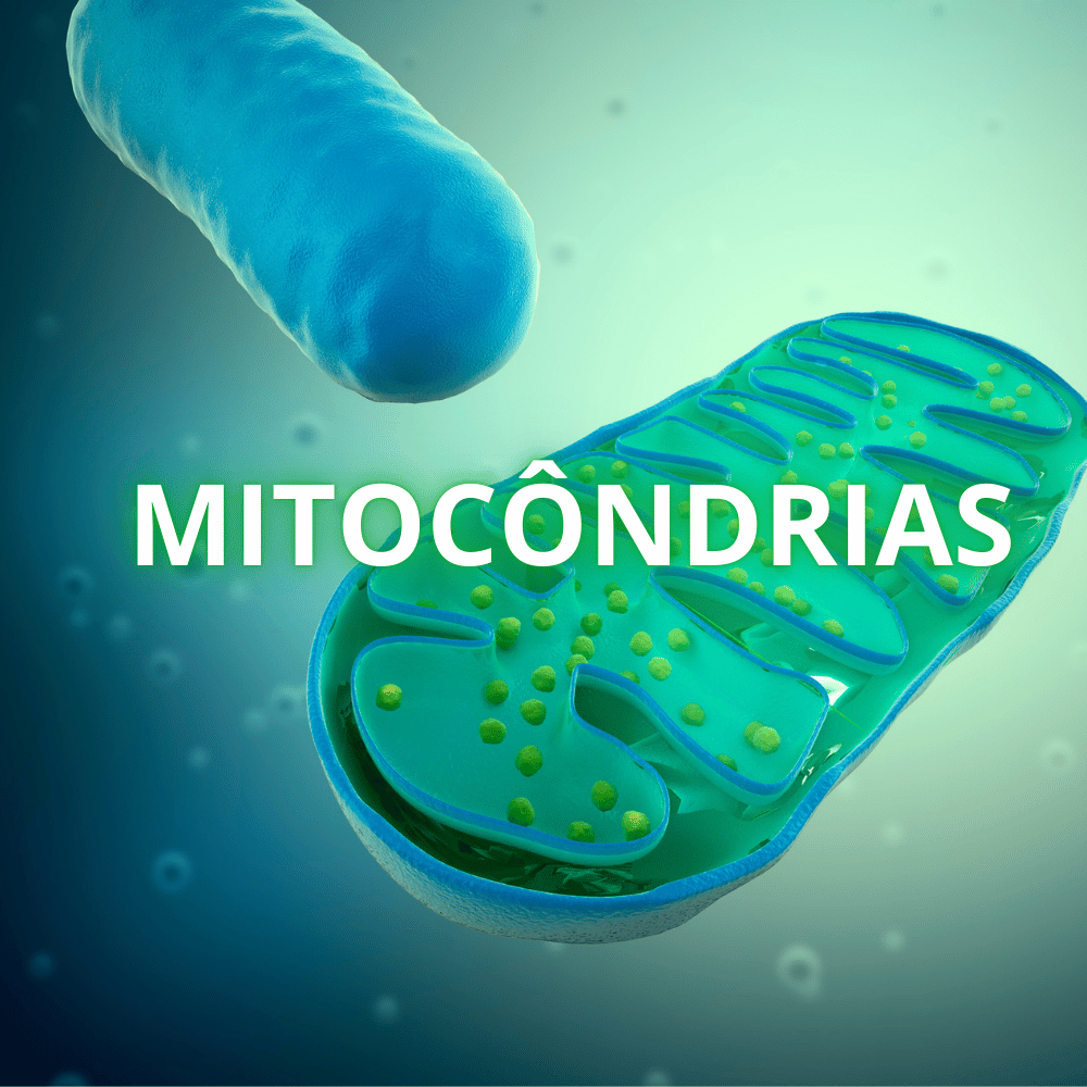 Ilustração de mitocôndrias gerando energia celular