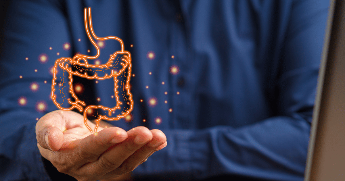 Representação da exame da microbiota intestinal