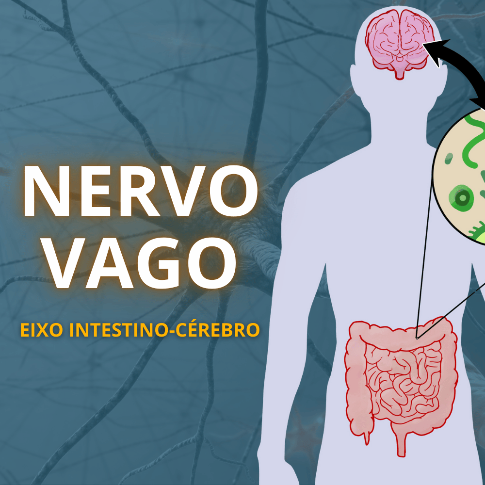 representação do nervo vago no eixo intestino-cérebro