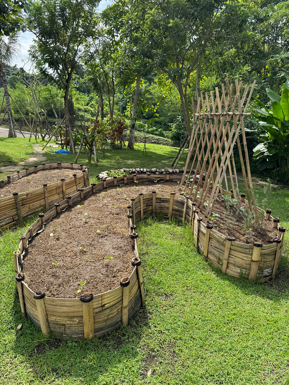 Bali Nuanu City Permakültür Alanı