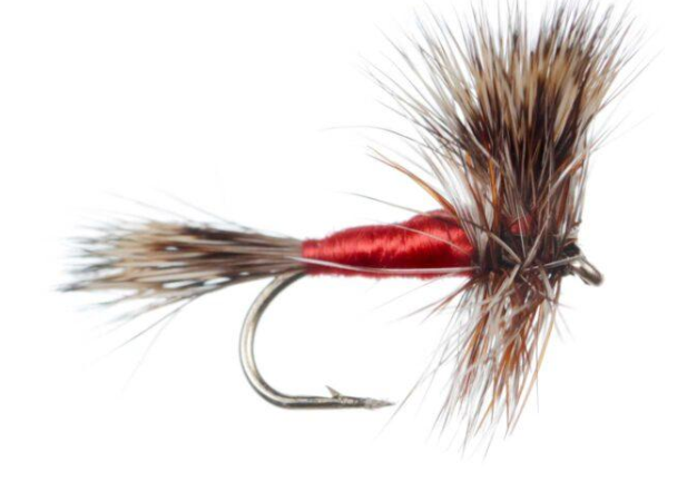 Wulff Red – Hairwing