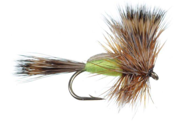 Humpy Yellow – Hairwing