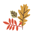 ハンドメイド ポスター 手書き 写真 告知 (3).png