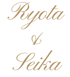 Wedding Invitation Instagram Story (4).png