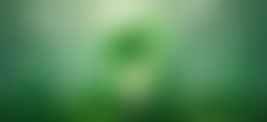 Driving Success: The Crucial Role of Sustainable Innovation in Startups