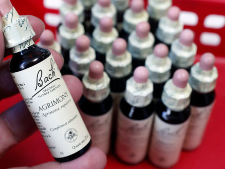 Do you know what Flower Essences are and what they are for?