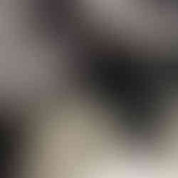 Sandstorm 4H Tank Bag