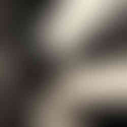 Sandstorm 4H Tank Bag