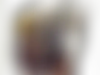 Rhinowalk Sturzbügeltaschen