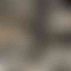 Sandstorm 4H Tank Bag