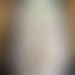 Sandstorm 4H Tank Bag