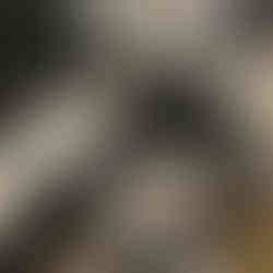 Sandstorm 4H Tank Bag