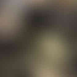 Sandstorm 4H Tank Bag