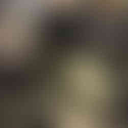 Sandstorm 4H Tank Bag