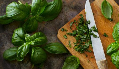 Du basilic pour prévenir les dégénérescences liées au vieillissement