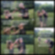 IMG_8508.jpeg
