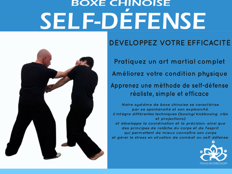 Cours de Boxe Chinoise | Self-Défense à La Rochelle et Ciré d'Aunis