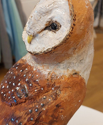 B Owl.jpg