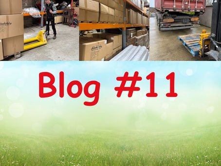 Blog #11 shows stock delevered