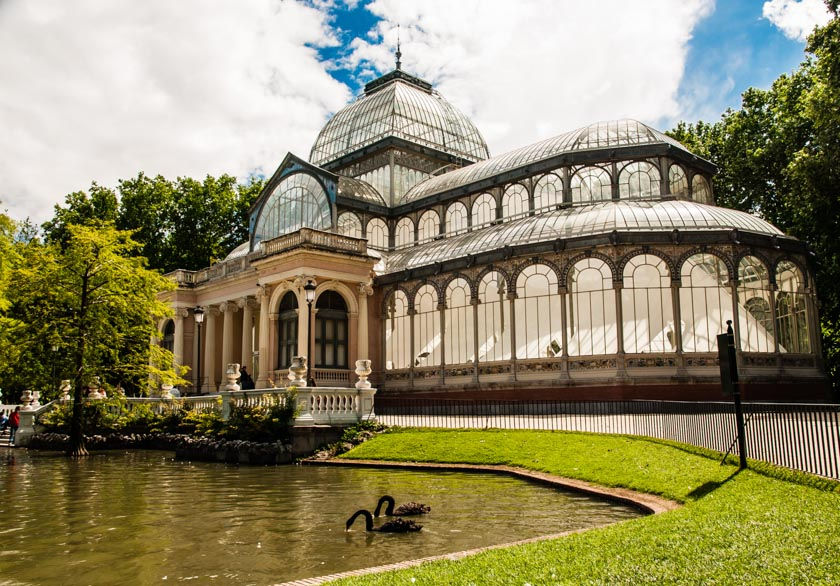 Crystal Palace swans