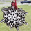 Thumbnail: Snow Flake Ornament 