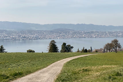 shutterstock_1703232871(1)_edited.jpg