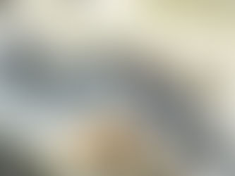 El Jurado de Expropiación de Cataluña: garantía jurídica y servicio al interés general