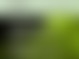 Energia en disputa: La regulació com escut